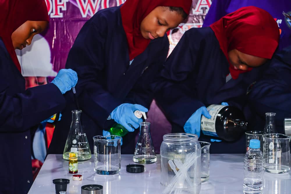 STEM Foundation